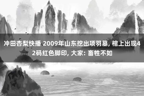 冲田杏梨快播 2009年山东挖出项羽墓， 棺上出现42码红色脚印， 大家: 畜牲不如