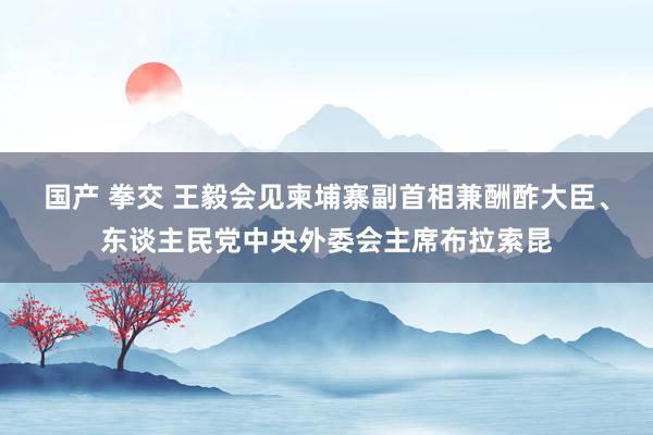 国产 拳交 王毅会见柬埔寨副首相兼酬酢大臣、东谈主民党中央外委会主席布拉索昆