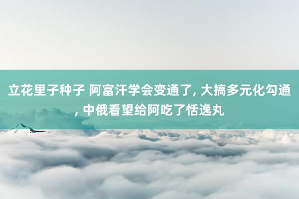 立花里子种子 阿富汗学会变通了， 大搞多元化勾通， 中俄看望给阿吃了恬逸丸