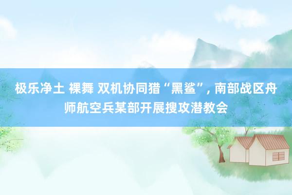 极乐净土 裸舞 双机协同猎“黑鲨”， 南部战区舟师航空兵某部开展搜攻潜教会