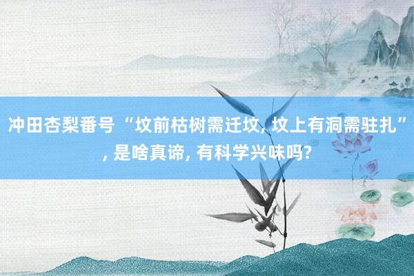冲田杏梨番号 “坟前枯树需迁坟， 坟上有洞需驻扎”， 是啥真谛， 有科学兴味吗?